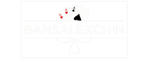 bansalexch logo